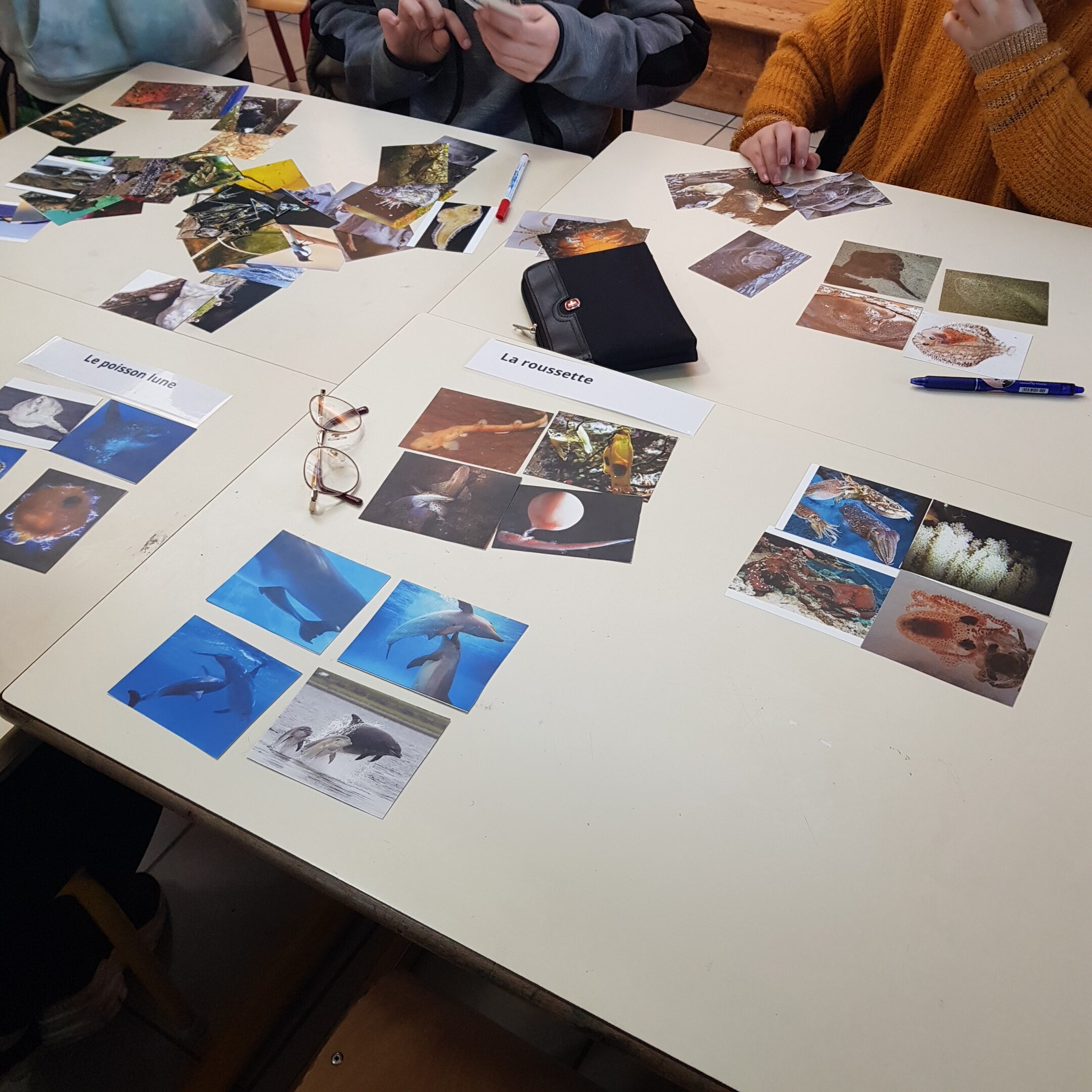 Intervention du Parc Marin de la Mer d’Iroise